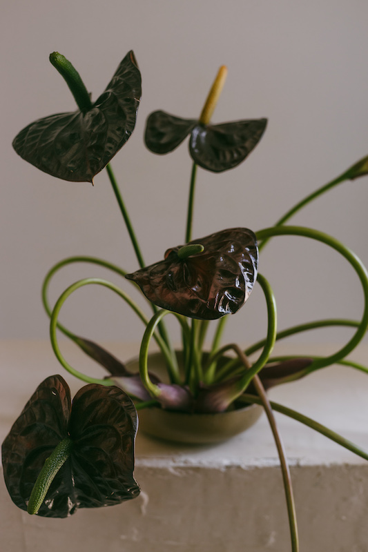 Registro editorial retrato 00003