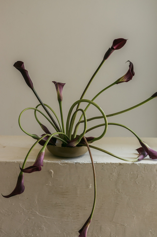 Registro editorial horizontal mediano 00004