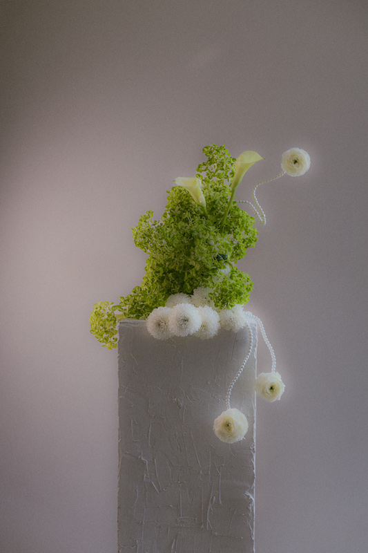 Registro editorial panorámico extendido 00017