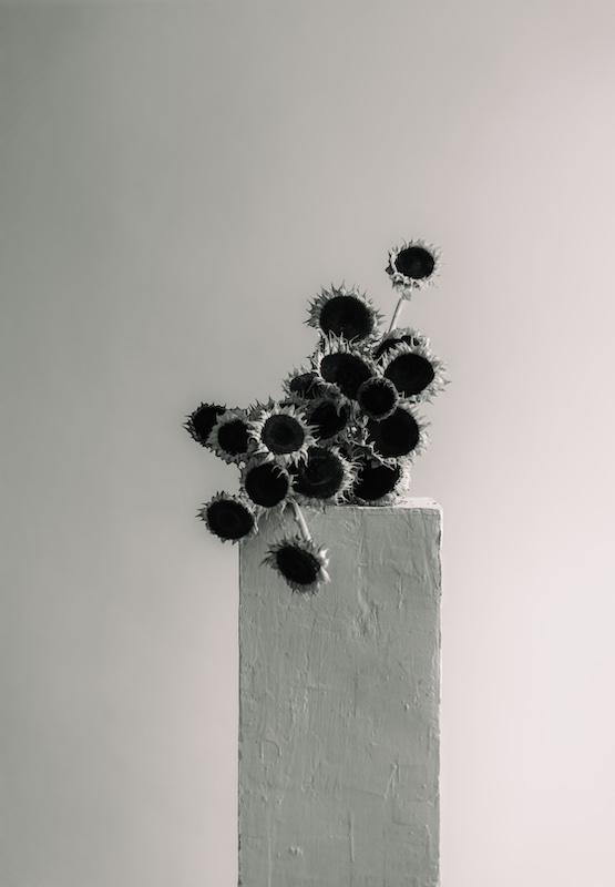 Registro editorial cuadrado 00028