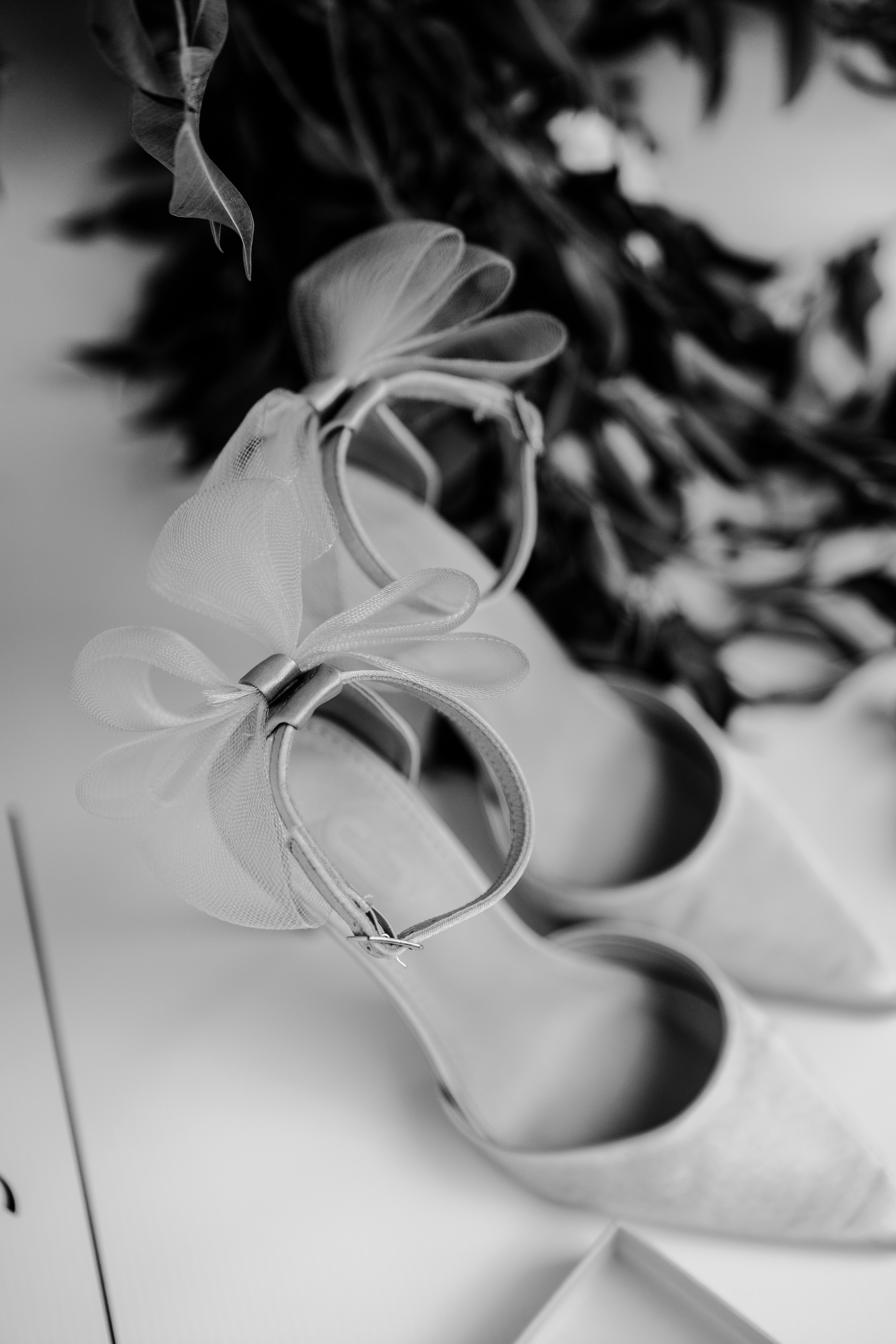 Javier & Paola — foto 100