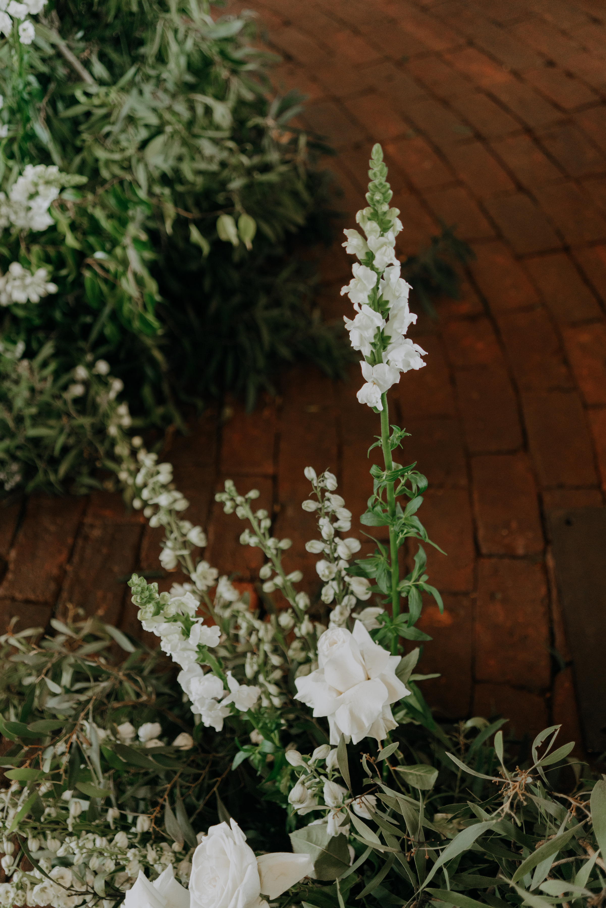 Javier & Paola — foto 13