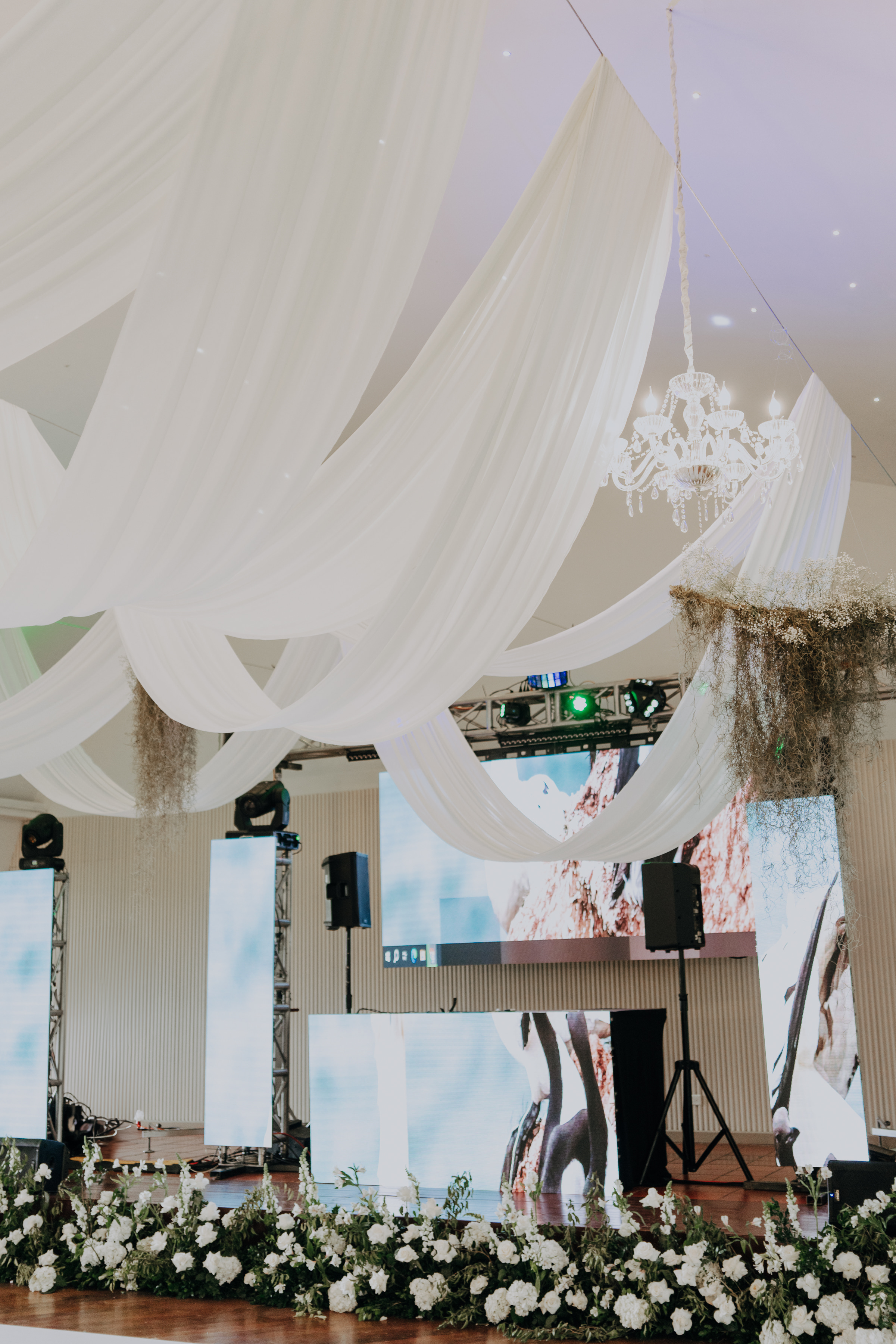 Javier & Paola — foto 25