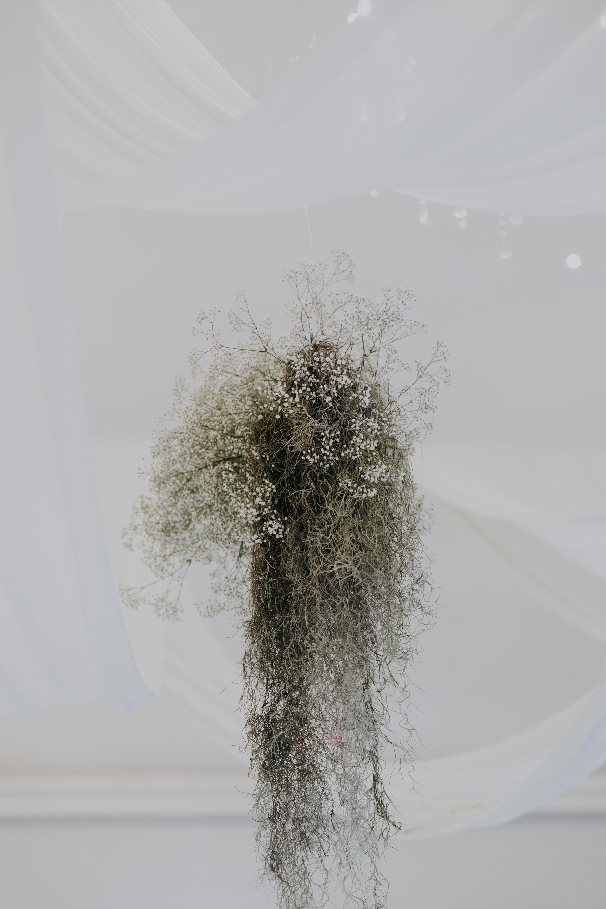 Javier & Paola — foto 29