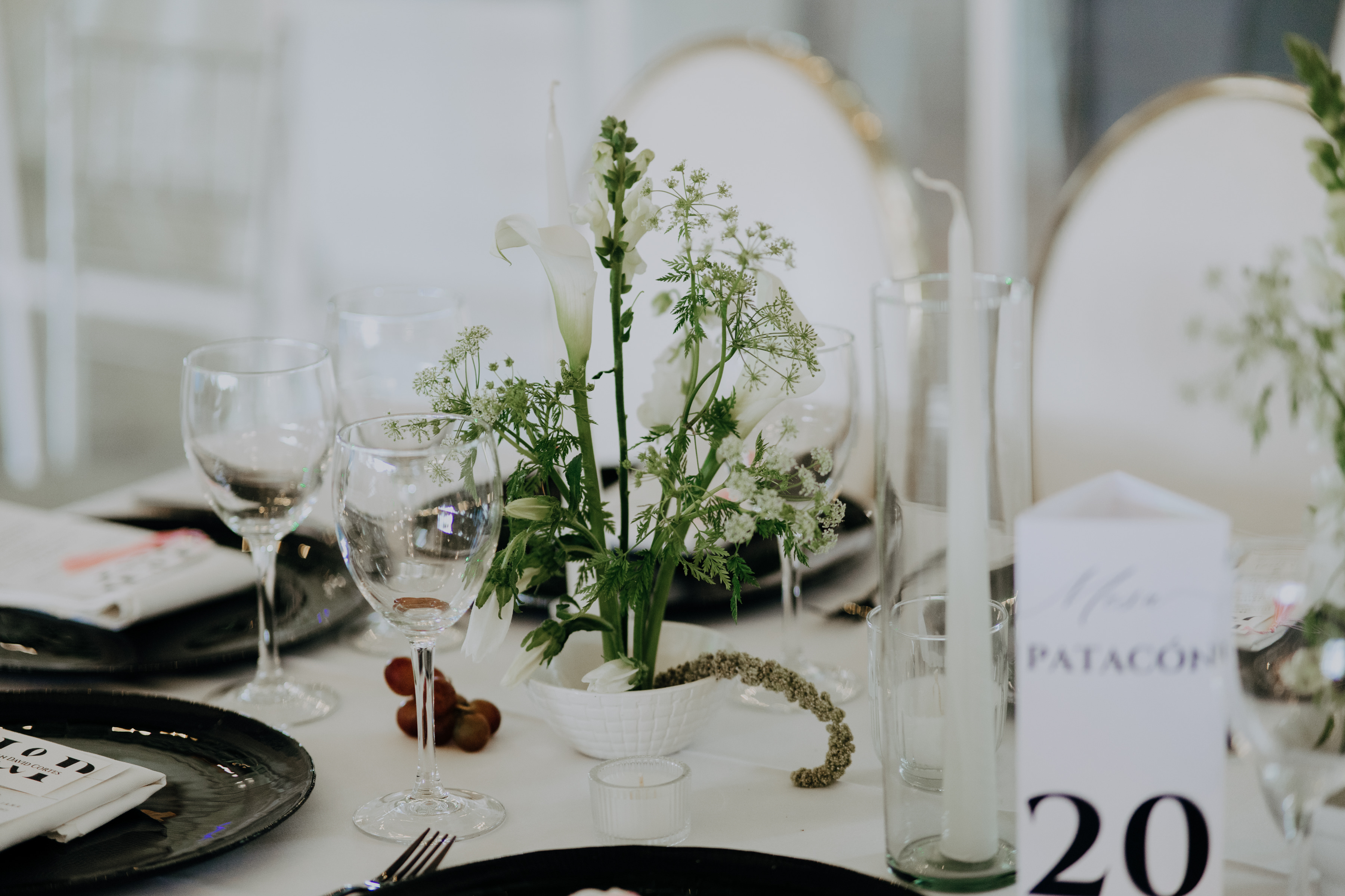 Javier & Paola — foto 43