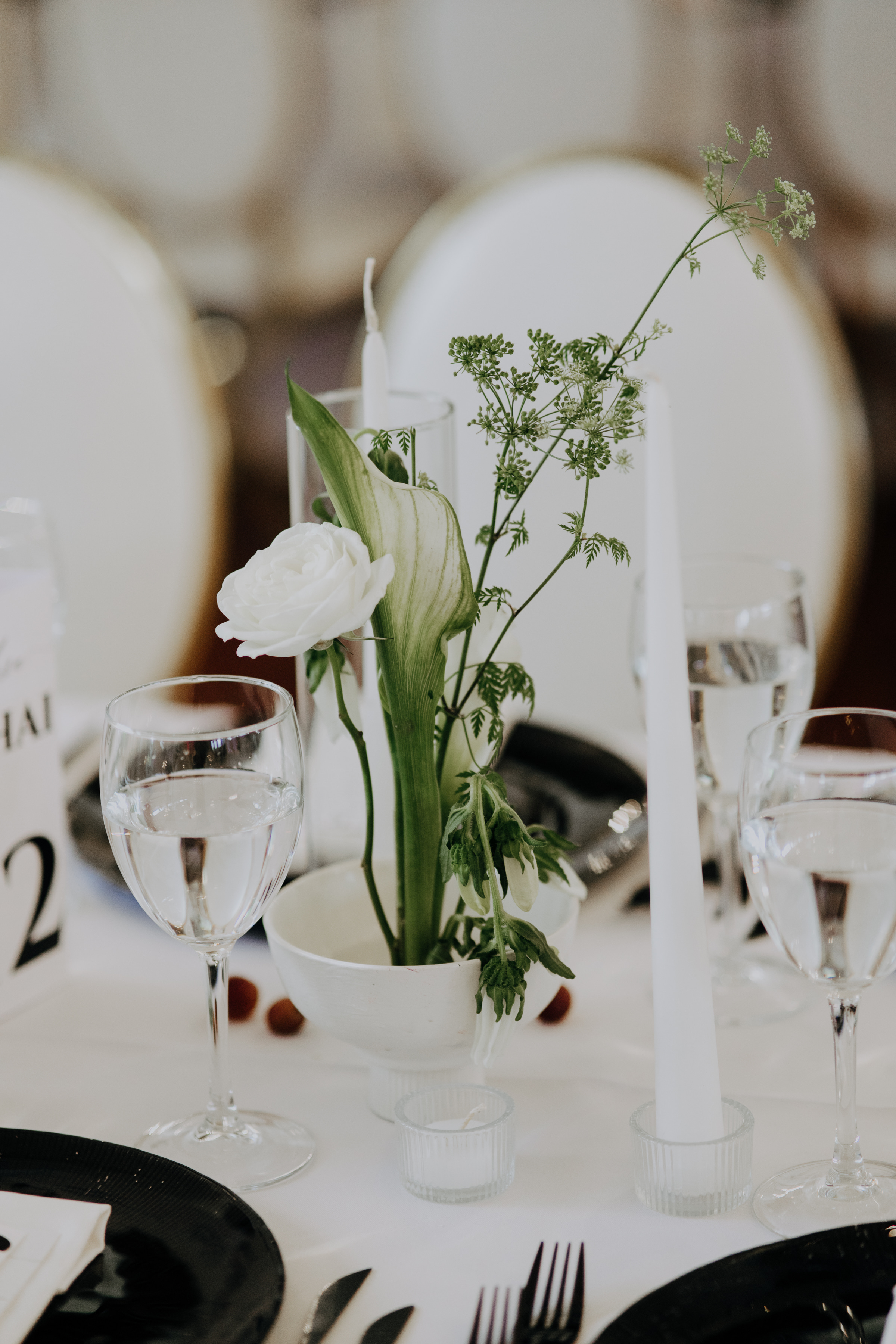 Javier & Paola — foto 47