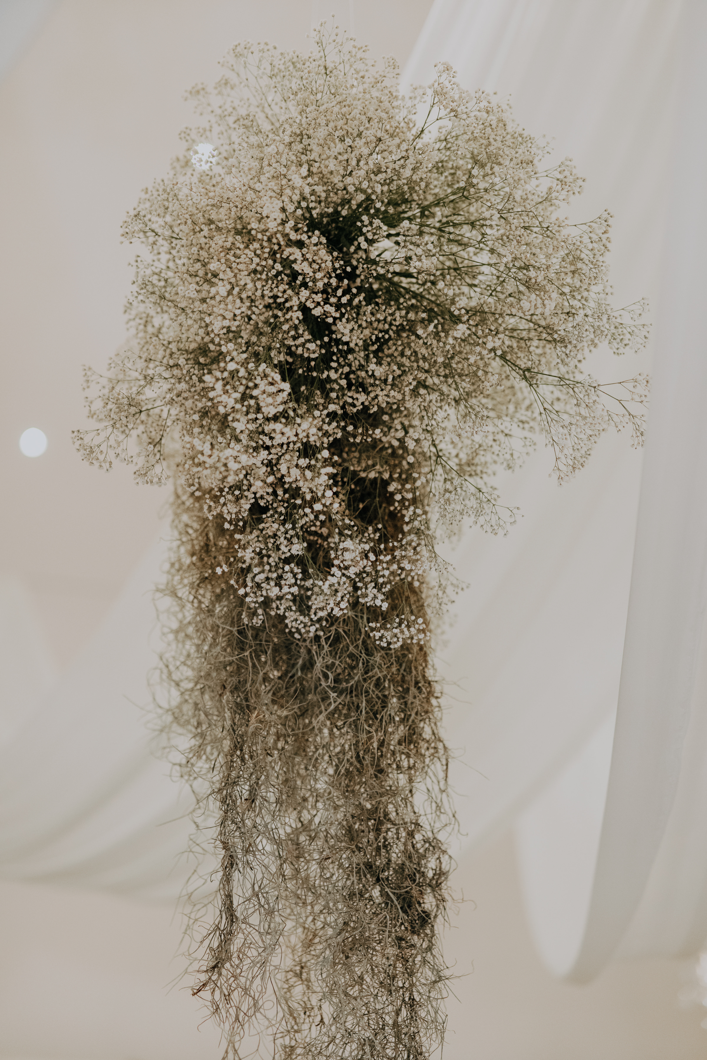 Javier & Paola — foto 647