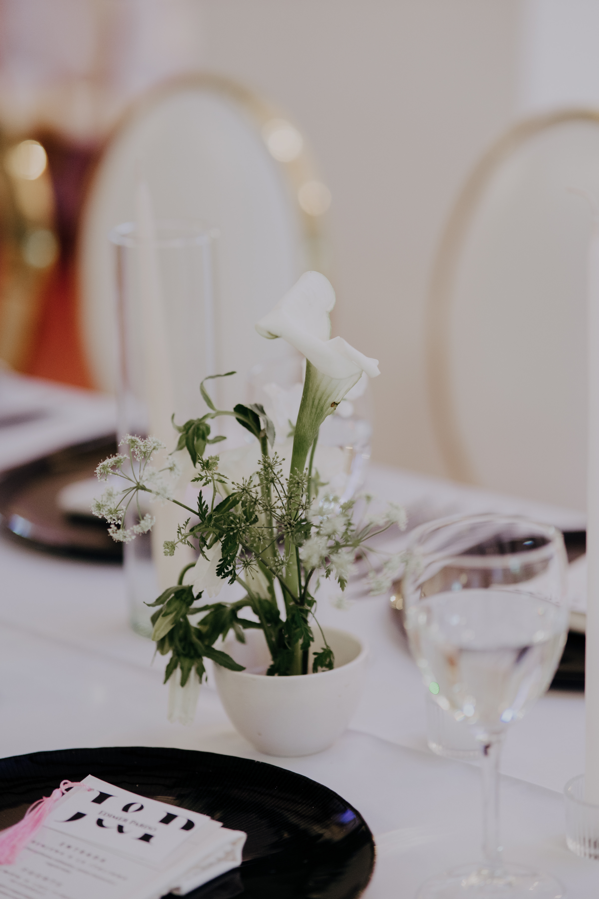 Javier & Paola — foto 74