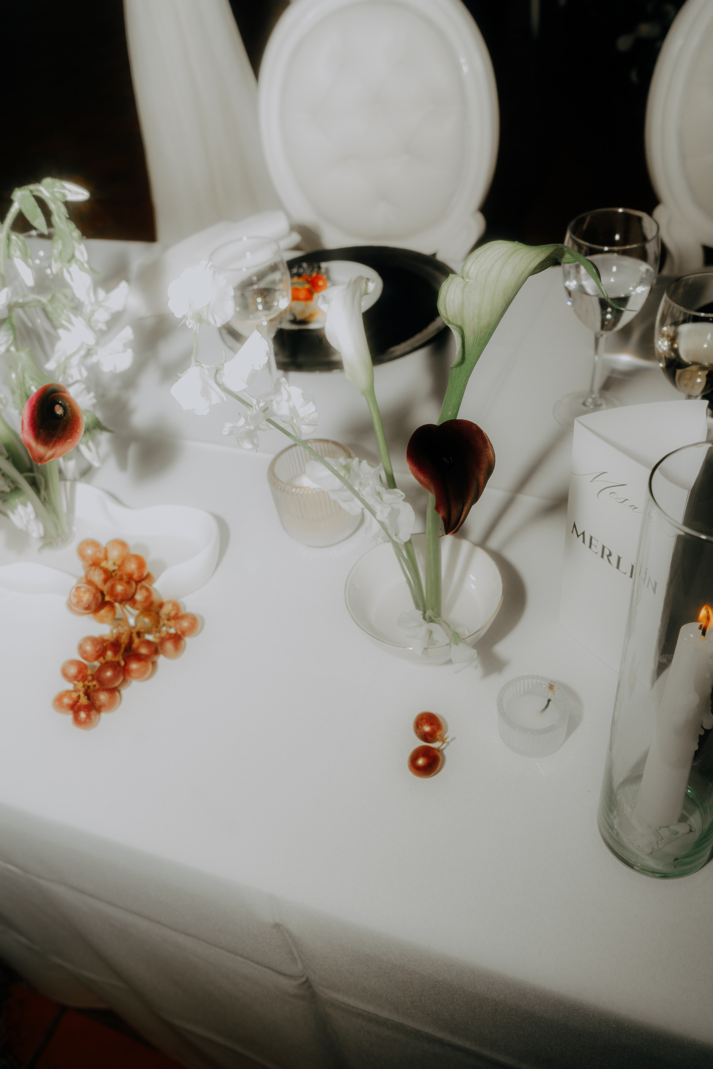 Javier & Paola — foto 777